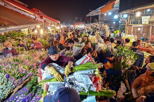 Thị trường hoa ngày Tết: Mai, đào hạ giá, cây thân gỗ lên ngôi