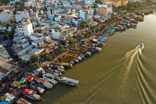 Đi ghe lên TP.HCM bán mai, quất, kiếm tiền triệu mỗi cây