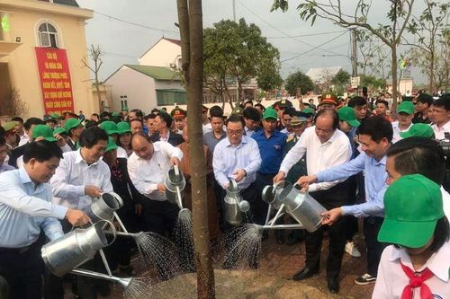 Hà Nội: 'Tết trồng cây đời đời nhớ ơn Bác Hồ' sẽ trồng 120.000 cây xanh