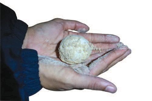 'Hành trình' chuyển hàng nghìn trứng rùa biển
