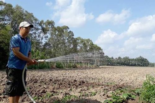 Triển khai các giải pháp cấp bách phòng, chống hạn hán, thiếu nước, xâm nhập mặn