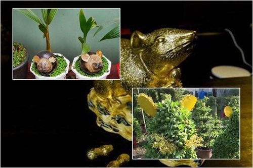 Loạt vật phẩm hình chuột hút 'thượng đế' mua tặng, chưng bày dịp Tết Canh Tý
