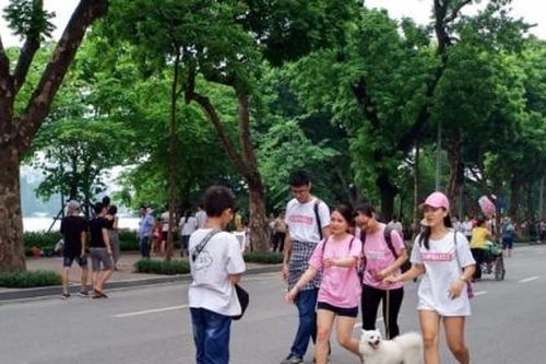 Hà Nội: Không tổ chức phố đi bộ trong dịp Tết Canh Tý 2020