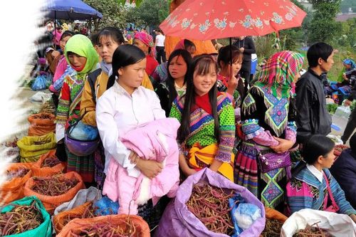 Rộn ràng chợ Tết Bắc Hà