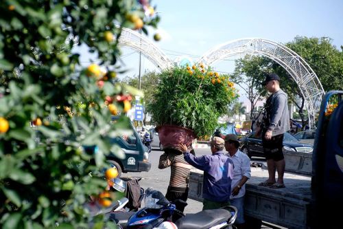 'Nhọc nhằn' chở sắc xuân về phố
