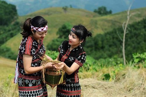 Gạo thiêng cho rể quý của người Pa Kô