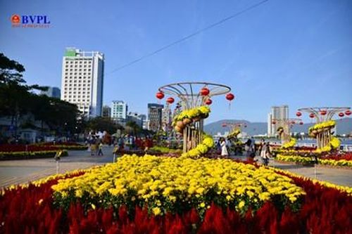 Rực rỡ đường hoa Tết Đà Nẵng