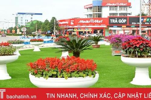 Xuân về rực rỡ trên đô thị phía Bắc Hà Tĩnh