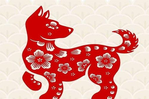 Tử vi tuổi Tuất năm 2020: Kinh doanh suôn sẻ, tình duyên lận đận