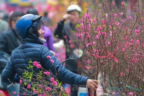 Dự báo thời tiết ngày 29 Tết (23/1): Gió mùa Đông Bắc tràn về, miền Bắc mưa rét