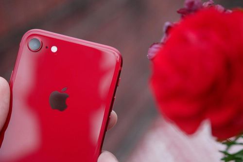 Bloomberg: iPhone giá rẻ mới của Apple sẽ lên kệ vào tháng 3