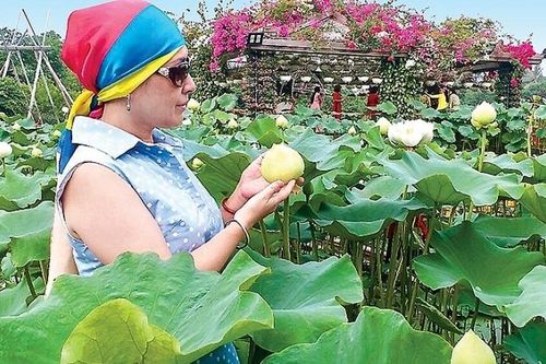 Ngày Tết thăm Thung lũng Hoa