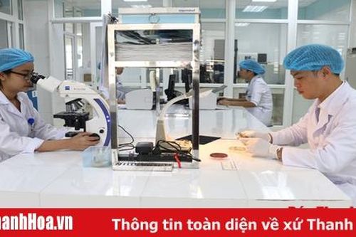 Nâng cao vị thế 'cánh chim đầu đàn' của ngành y tỉnh nhà