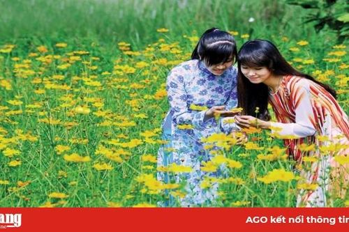 Nét xưa, nghề cũ với… xuân này!