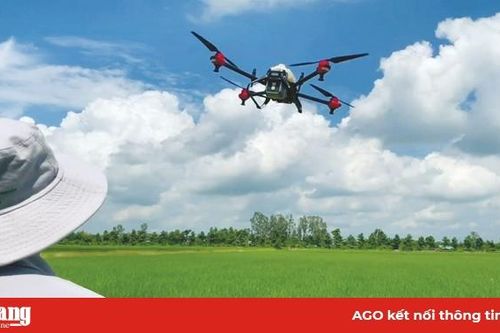 Làm nông thời hiện đại