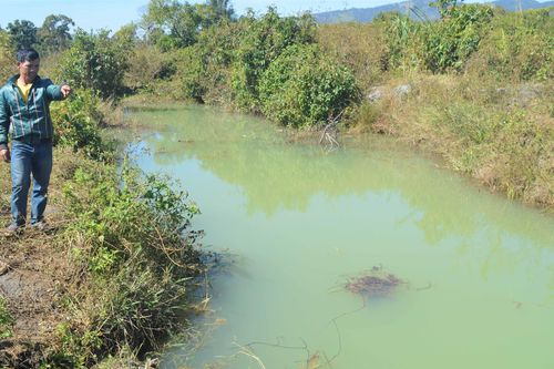 Đak Đoa: Theo bà đi chăn bò, 1 học sinh bị chết đuối