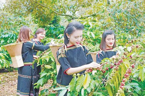 Xuân ở làng nông thôn mới