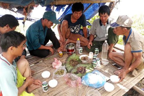 Kỳ công săn chuột rừng