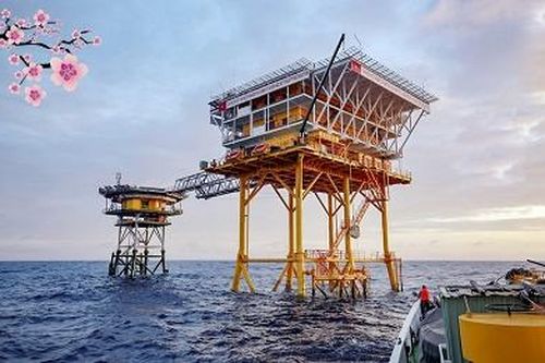 Kỳ III: Những cánh hạc giữa biển trời quê hương