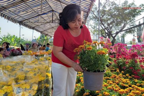 Tết của tôi : Tết trong tôi là…