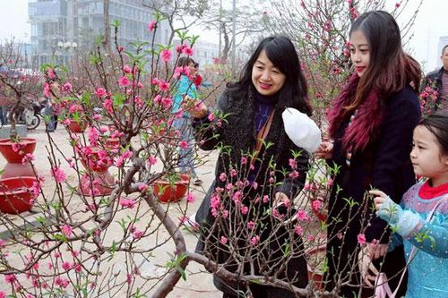 Nhà nhà vui đón Tết