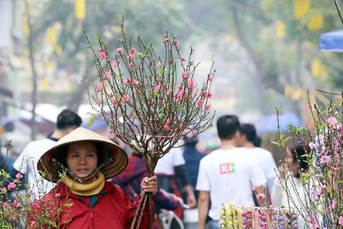 Ghé thăm chợ hoa cổ Hàng Lược mỗi năm chỉ họp duy nhất một lần ở Thủ đô