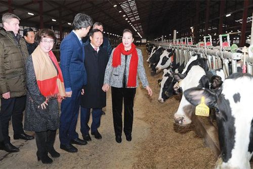 2019 - Dấu ấn TH true MILK trên bản đồ sữa thế giới