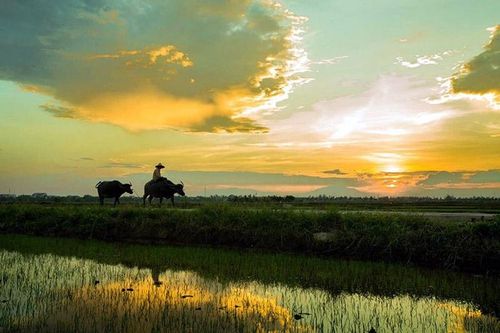 Đường về nhà…