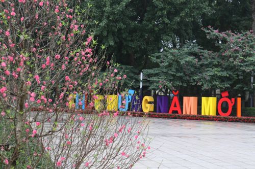Đường phố Hà Nội rợp cờ hoa tưng bừng chào đón năm mới 2020