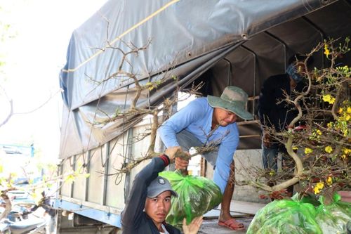 Những chuyến xe hoa cuối cùng ở Ninh Thuận