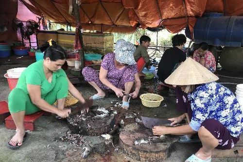 'Làng chuột' độc nhất vô nhị ở miền Tây