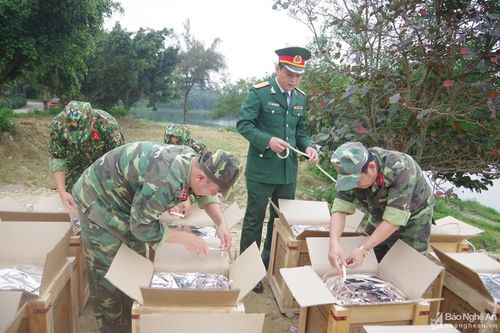 Giao thừa tối nay, Nghệ An sẽ bắn 270 dàn pháo hoa tại TP Vinh và Cửa Lò