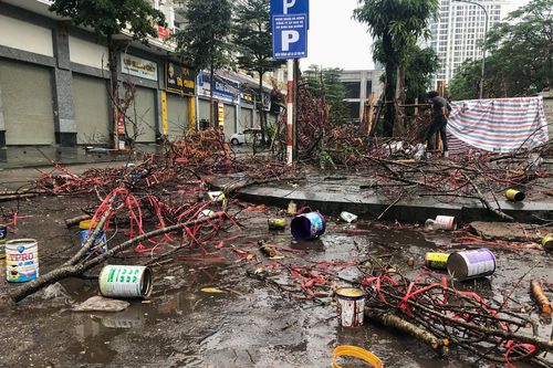 Chiều 30 Tết, cây cảnh chơi xuân 'hóa rác' ngổn ngang