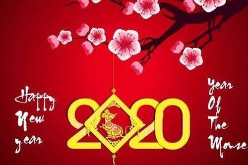 Top 10 lời chúc năm mới 2020 hài hước, độc nhất dịp Tết Canh Tý