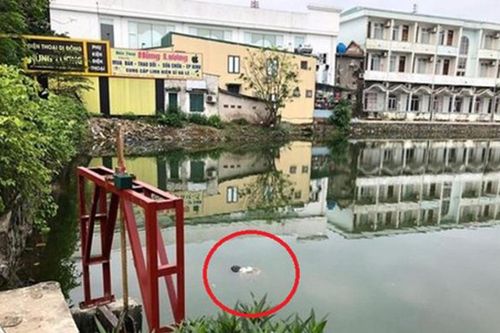 Người dân hoảng hốt phát hiện thi thể nam giới nổi trên mặt hồ ngày 30 Tết