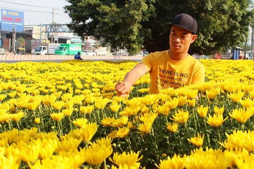 Chiều 30 Tết: Nhiều loại hoa, cây cảnh đồng loạt giảm giá