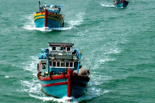 Ngư dân đón Tết trên biển chờ đón lộc đầu xuân
