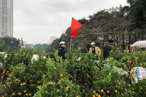30 Tết, thị trường hoa diễn biến trái chiều