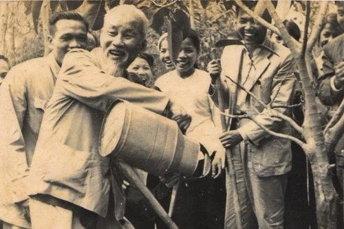 Những năm Tý đáng nhớ trong lịch sử dân tộc Việt Nam