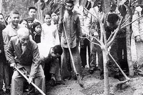 Nhớ lời Bác Hồ dạy 'Tết trồng cây'