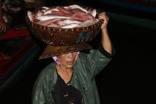 Có một nghề cực nhọc mang tên 'phu cá' cho đàn bà nơi cửa biển