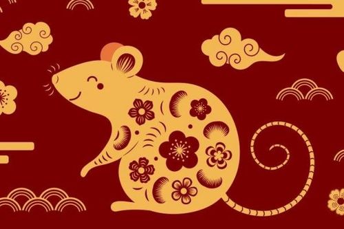 Năm Canh Tý '2020' - Nói chuyện về chuột