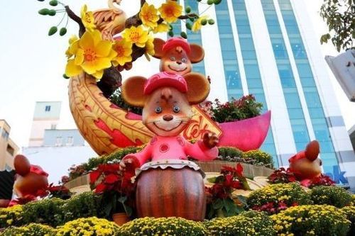 Đường hoa Cần Thơ xuân Canh Tý có gì đặc biệt