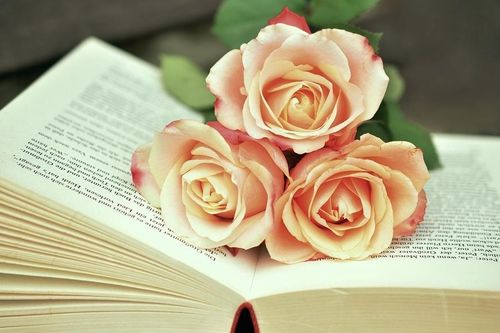 Tử vi thứ Hai ngày 27/1/2020 của 12 cung hoàng đạo