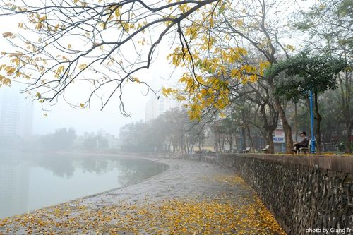 Thời tiết 26/1: Mùng 2 Tết, Bắc bộ mưa rào và rét đậm