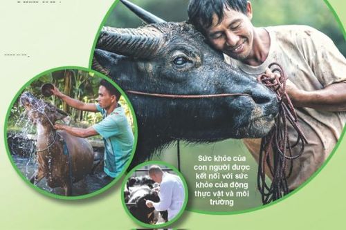 'Con người – Động vật – Sinh quyển': Tam giác vàng của ngành chăm sóc sức khỏe