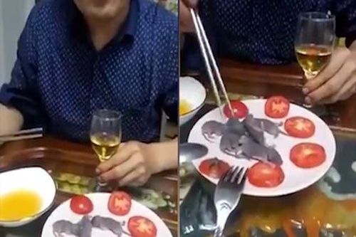 Rùng mình xem thực khách ăn chuột bao tử sống nguyên con