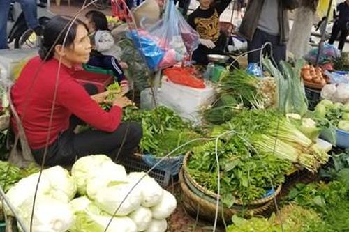 Tết Nguyên đán: Mưa, rét làm giá rau xanh, củ, quả tăng gấp đôi