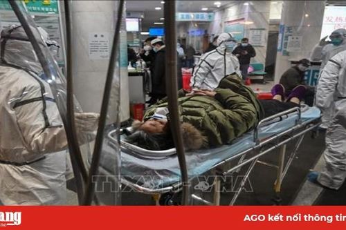 Dịch bệnh viêm phổi do virus corona: Số người tử vong tại Trung Quốc tăng lên 80 người