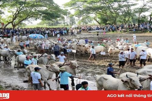 Những di sản văn hóa phi vật thể quốc gia ở An Giang
